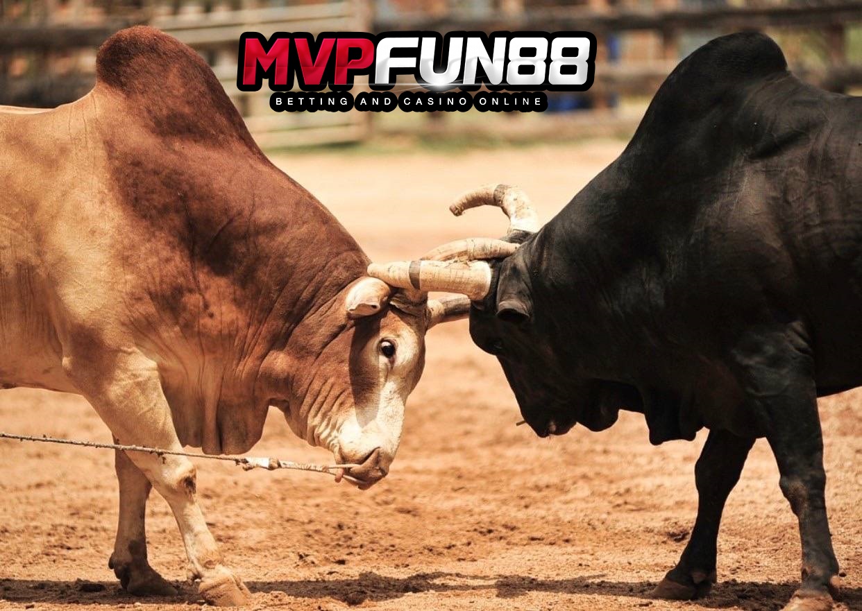 https://mvpfun88.com/